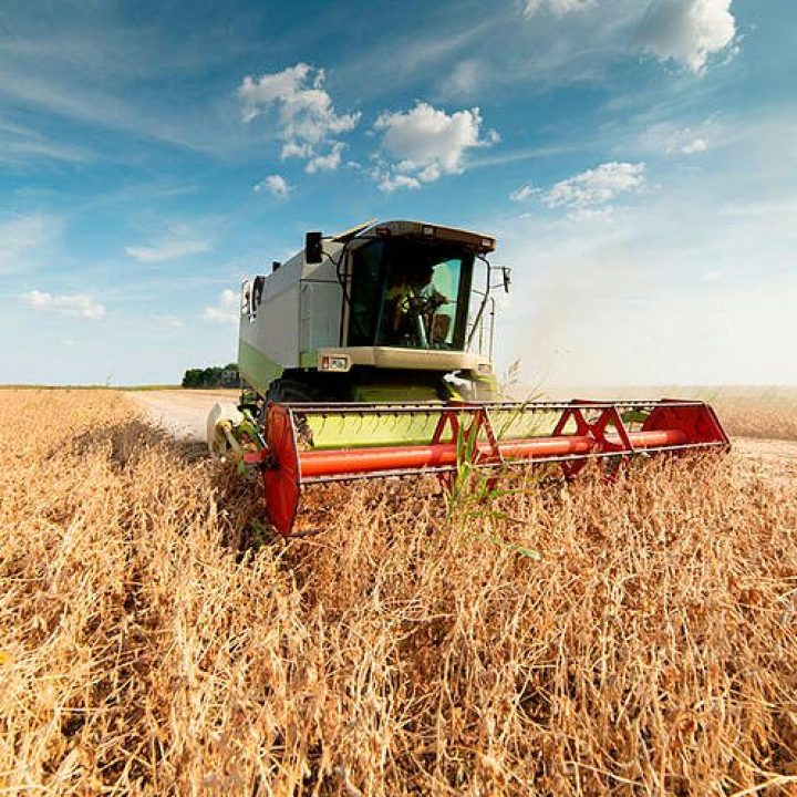 Agricultura-Moderna---Colheitadeira-no-campo-de-trigo